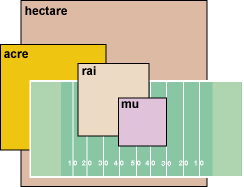 Land Areas Standard Units of Measurement graphic