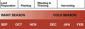 Rainy Season - Cold Season times