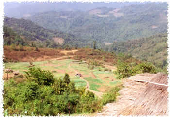 Photograph of the dry season in Mainland Southeast Asia